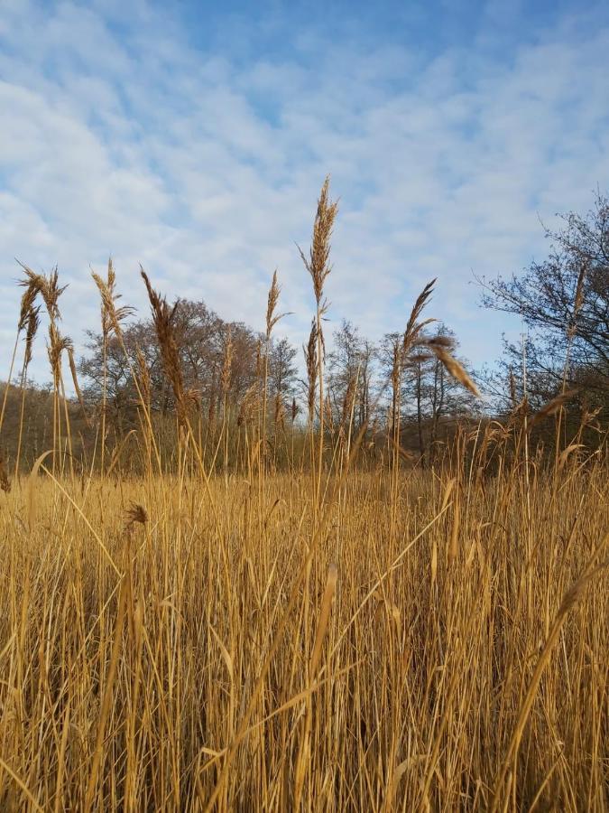 Foerde Koje Lägenhet Westerholz Exteriör bild